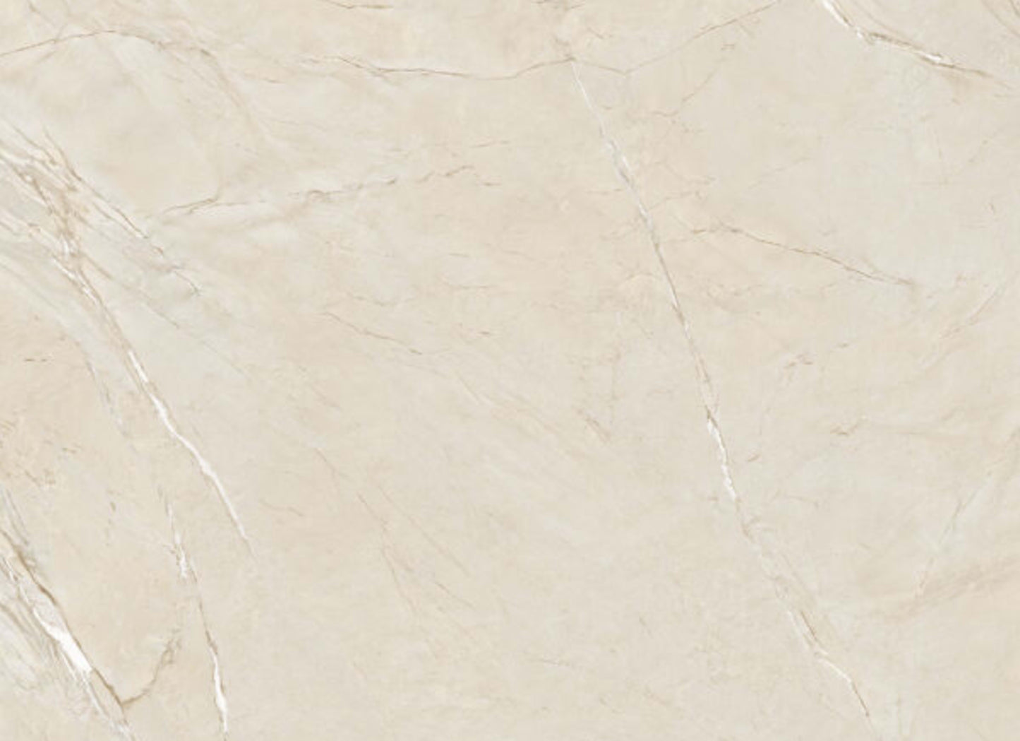 Cardosia in River Rock/Natural