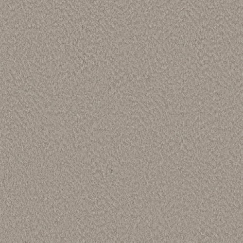 Alluring Canvas in Fossil Path