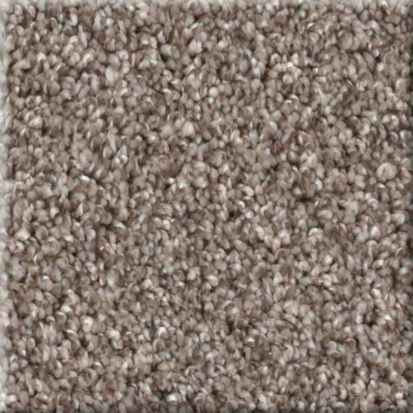 GRANDIOSE in Chestnut Carpet