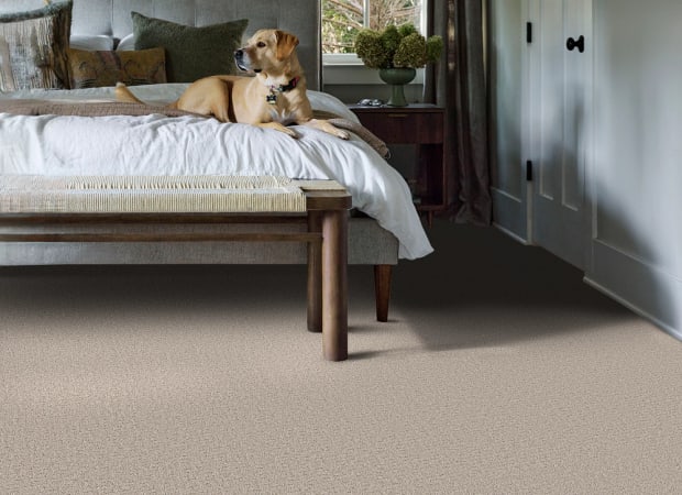 Secret Journey in Chic Taupe