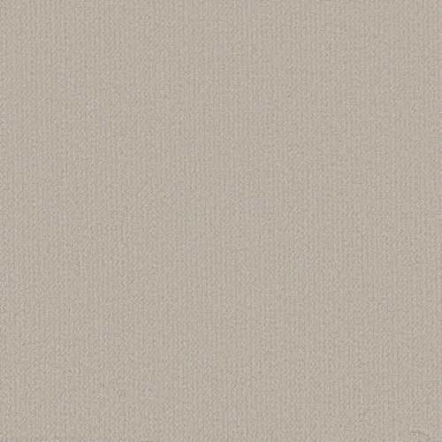 Alluring Canvas in Baltic Stone