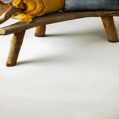 Alluring Canvas in Champagne Toast
