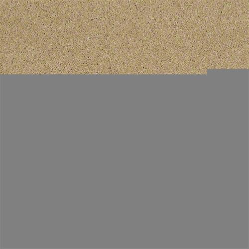 Cashmere I