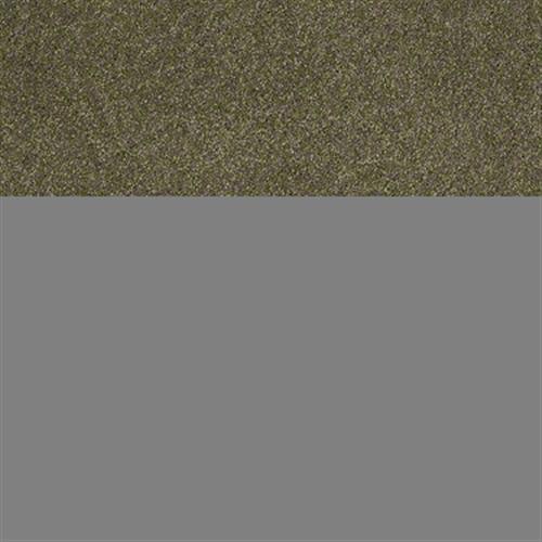 Cashmere I