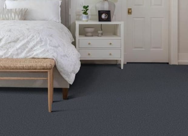 Velvet Touch I in Refined