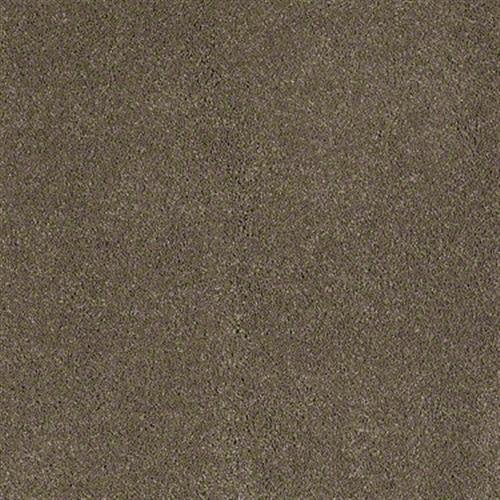 Cashmere II