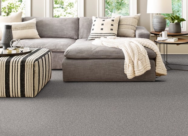 Bold Move Plus in Castle Grey