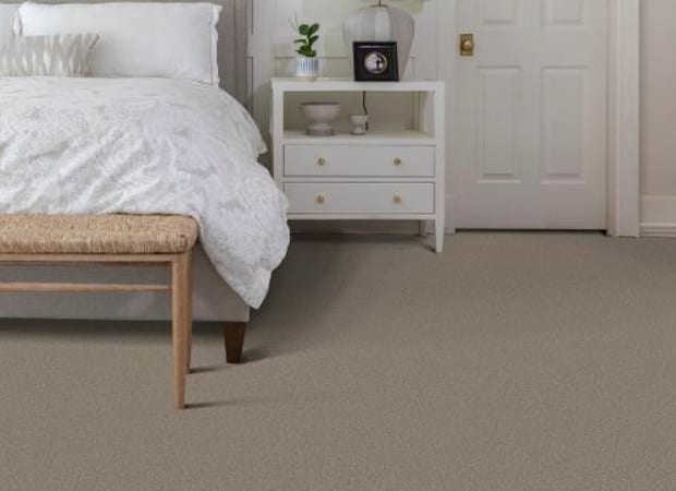 Velvet Touch I in Plaza Taupe