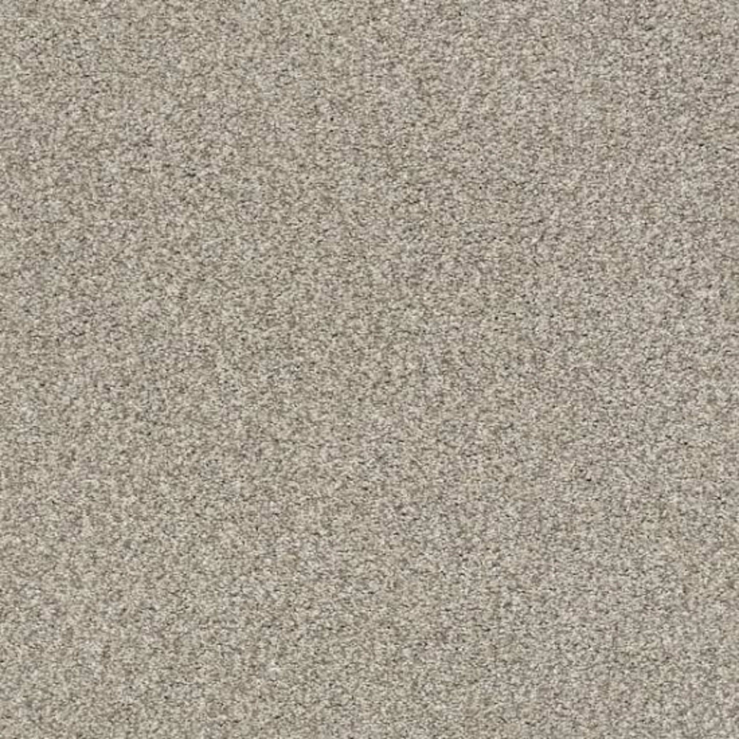 TONAL COMFORT I in Back Patio Carpet