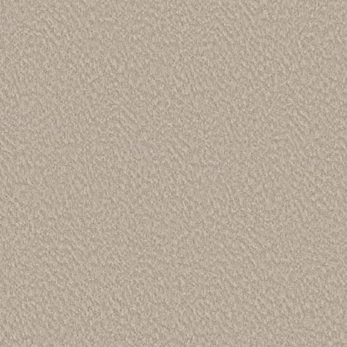 Alluring Canvas in Sandstone