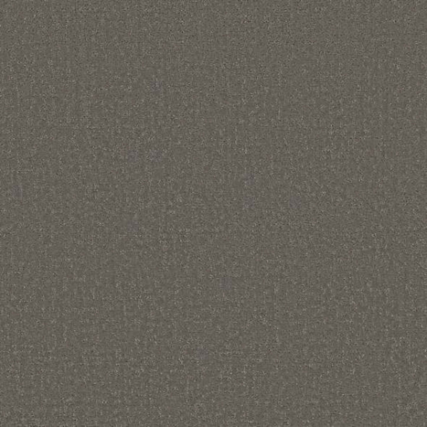 CANVAS COMFORT