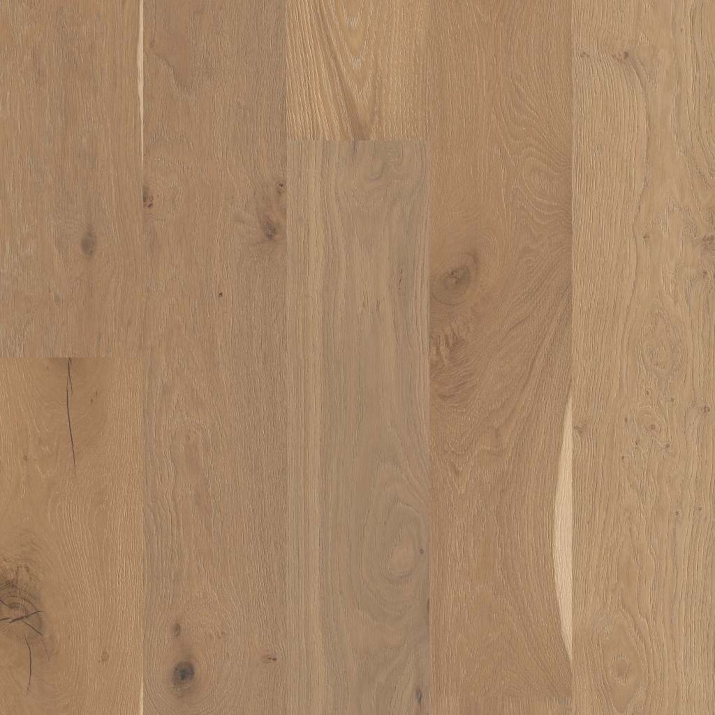 EXPRESSIONS in Alla Prima Hardwood