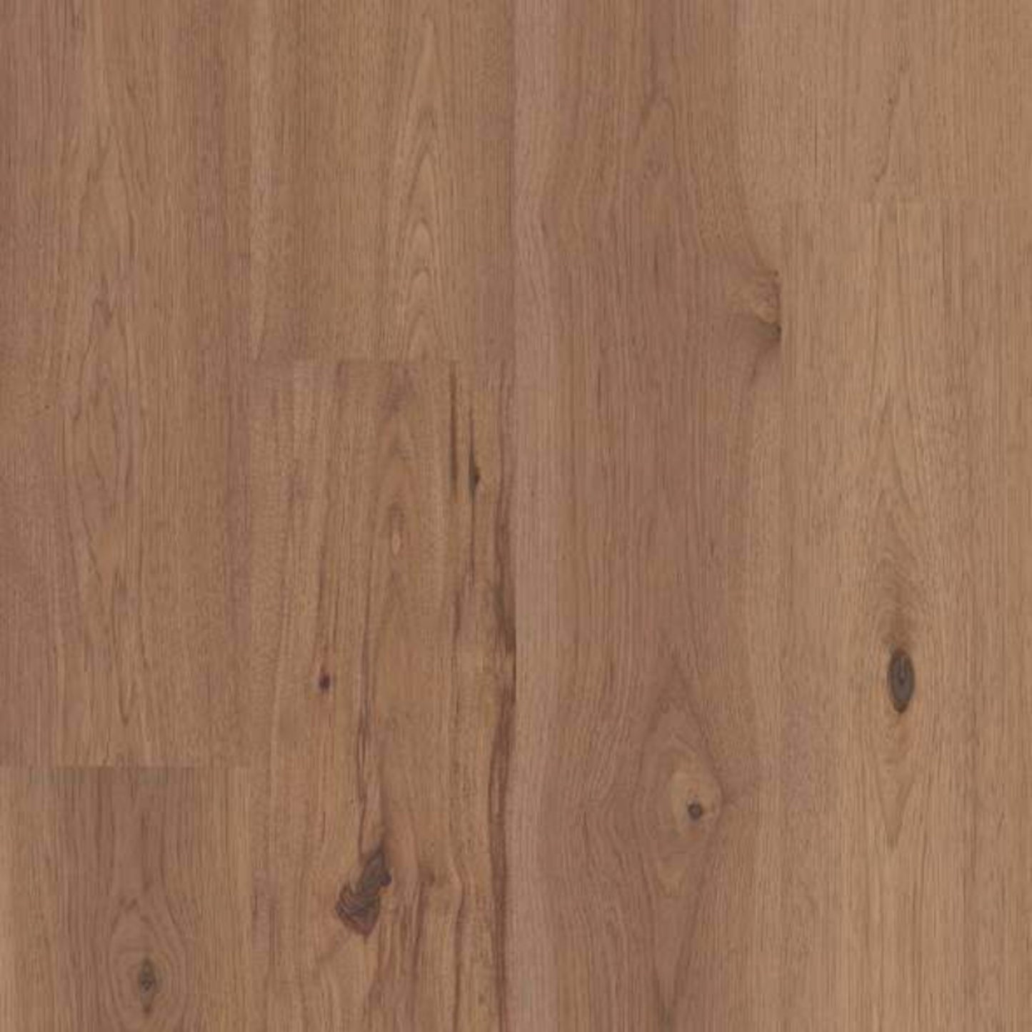LANDMARK SLICED HICKORY in Cumberland Hardwood