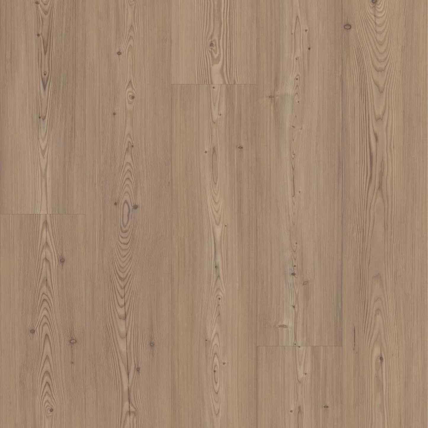 ASCENT NB in Lodge Luxury Vinyl