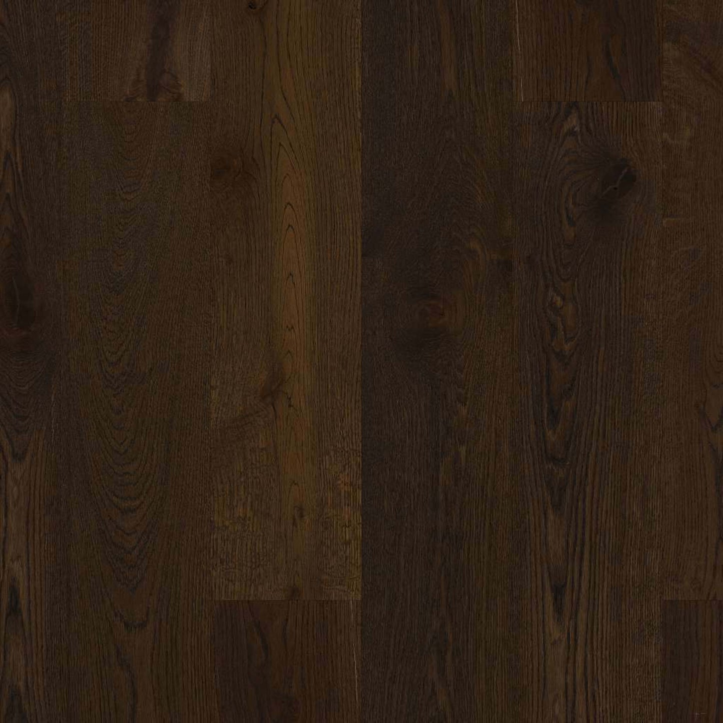 EXPRESSIONS in Coda Hardwood