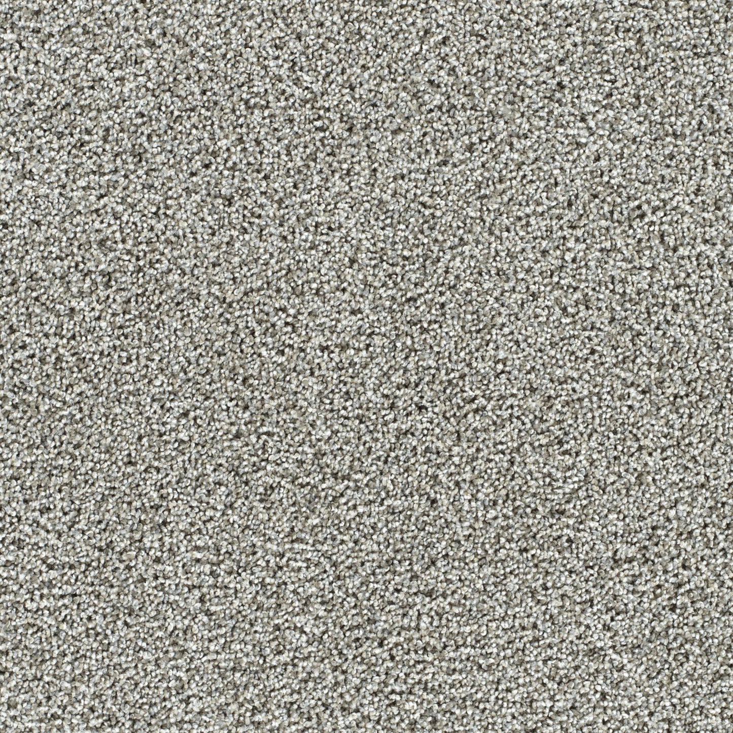 Captivating II in Gravel Stone Carpet