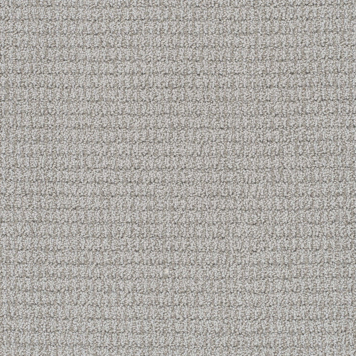 Palma in Romantic Carpet