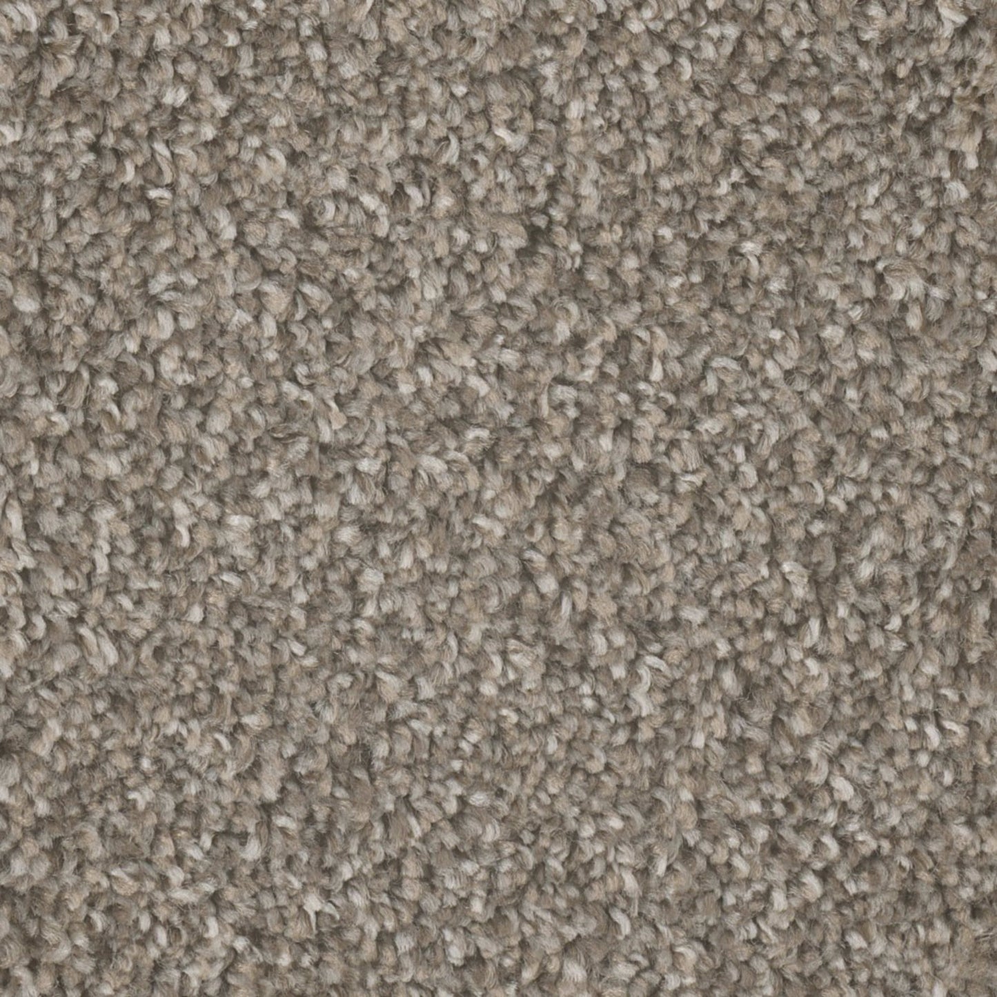 Mount Rainier I in Campground Carpet