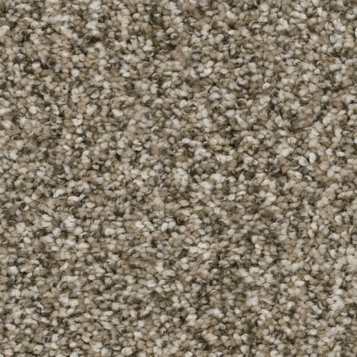 Mount Rainier I in Pebble