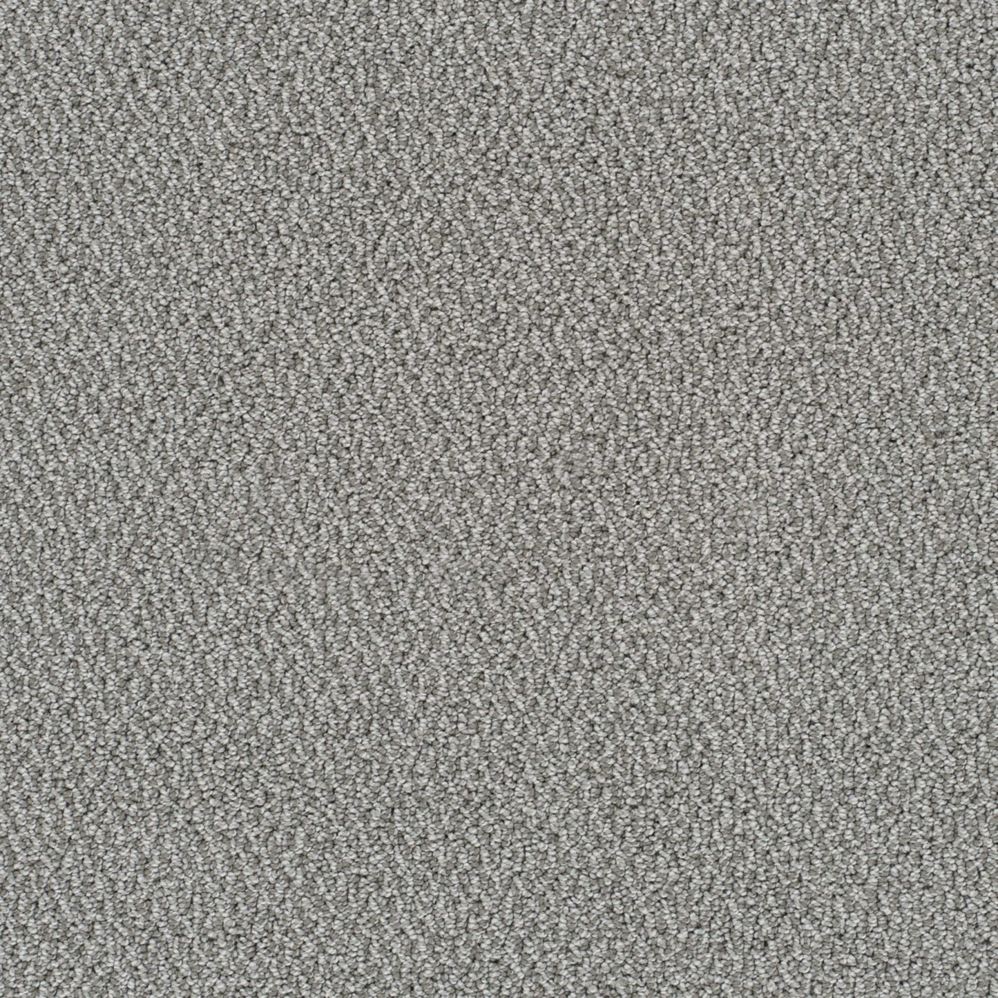 Palazzo