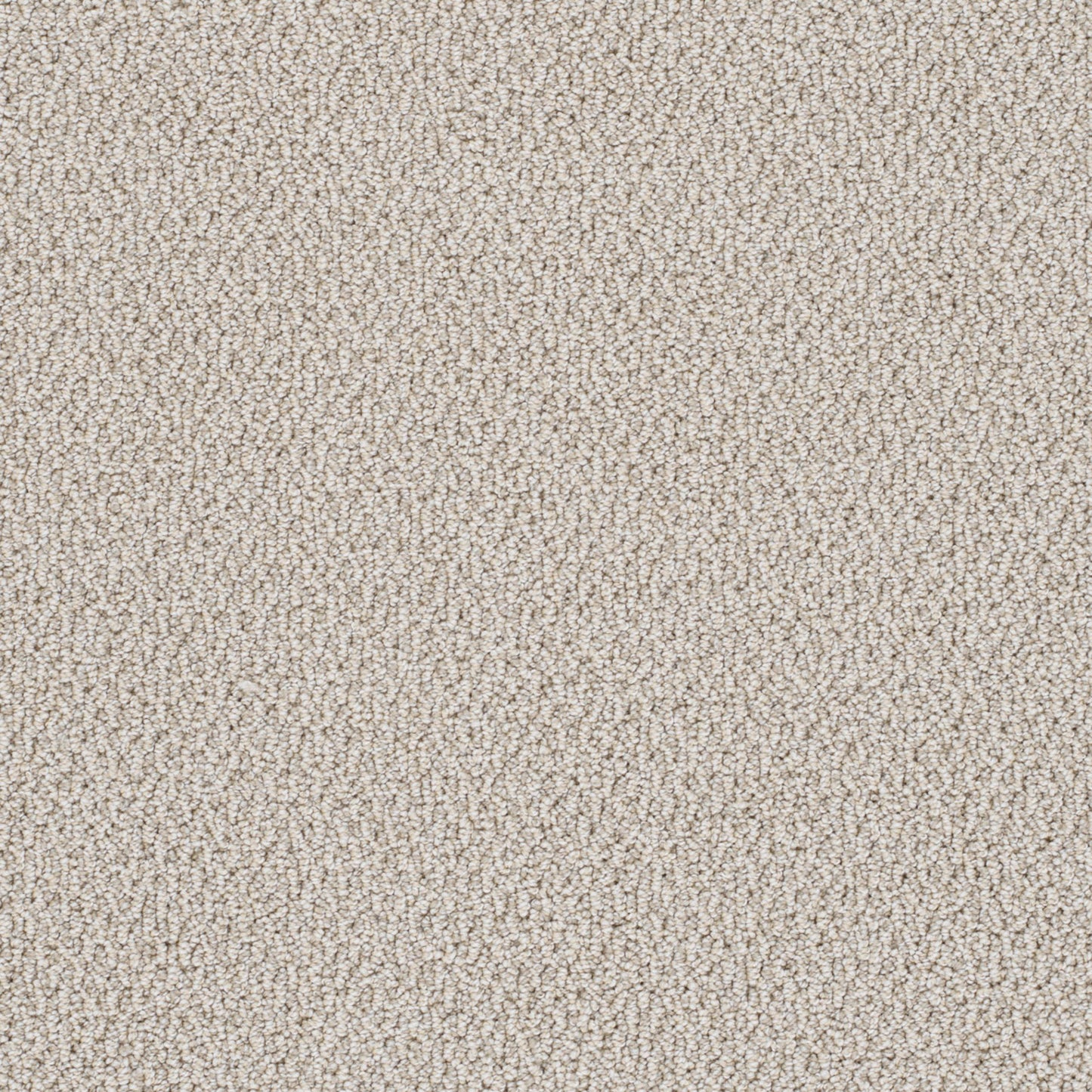 Palazzo in Bay Dream Carpet