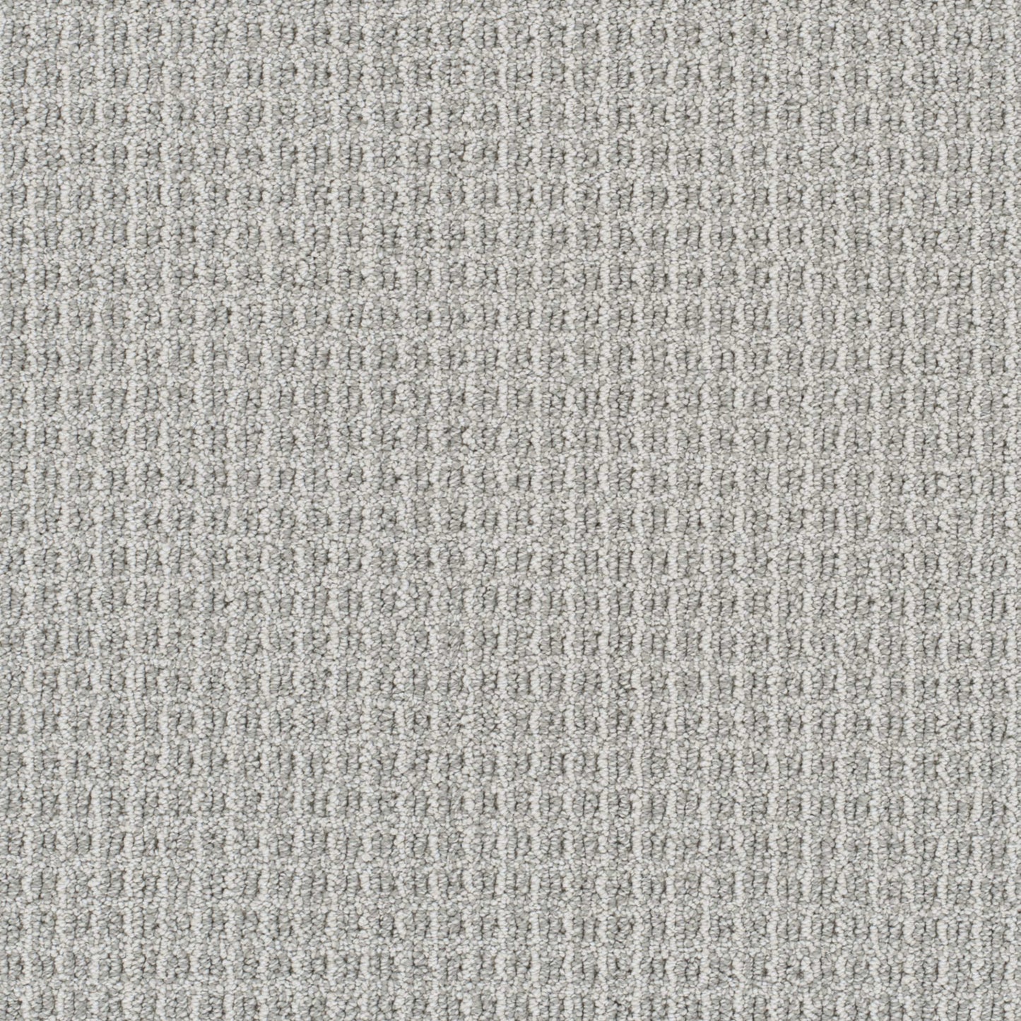 Valencia in Nautilus Carpet