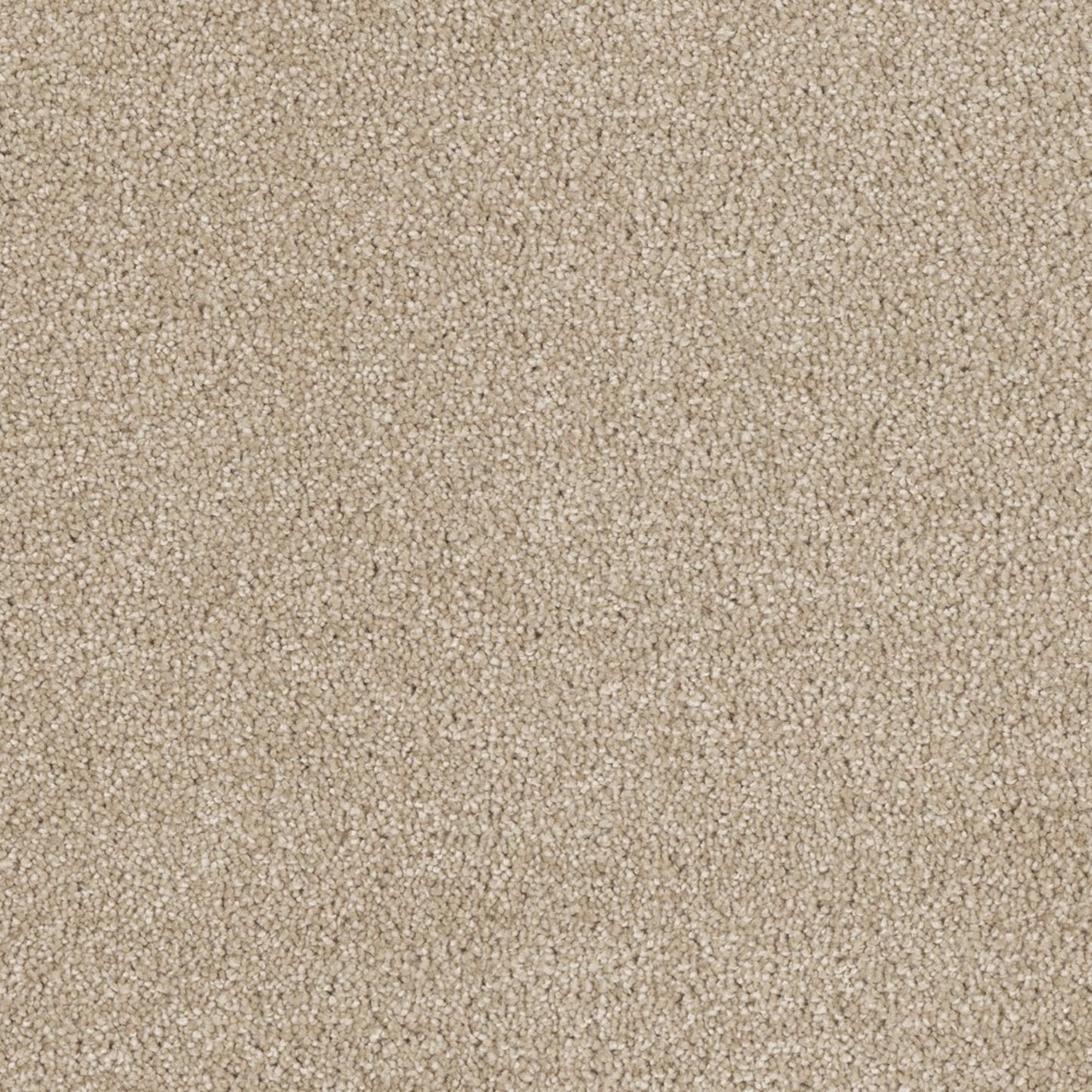 Bel Air in Cashmere Carpet