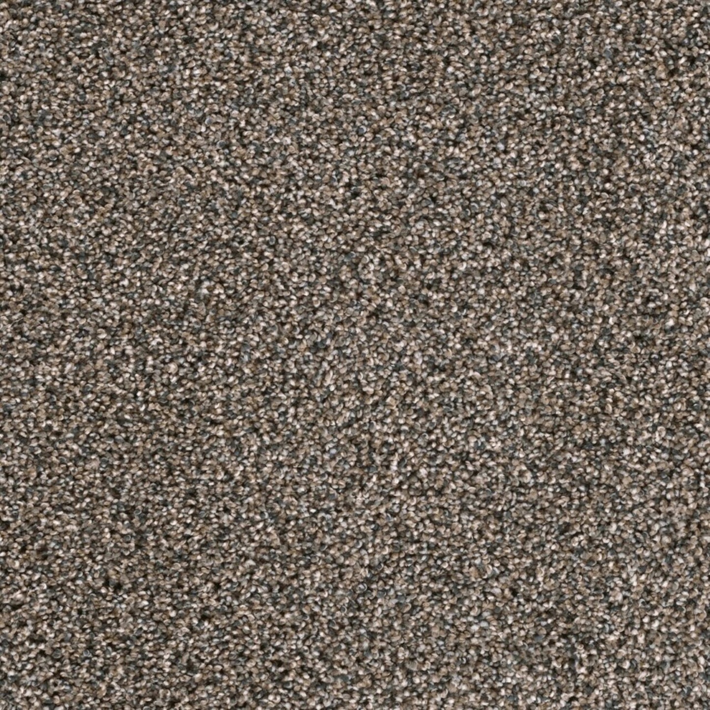 Lustrio I