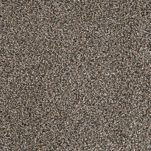 Lustrio I in Imperial Sable
