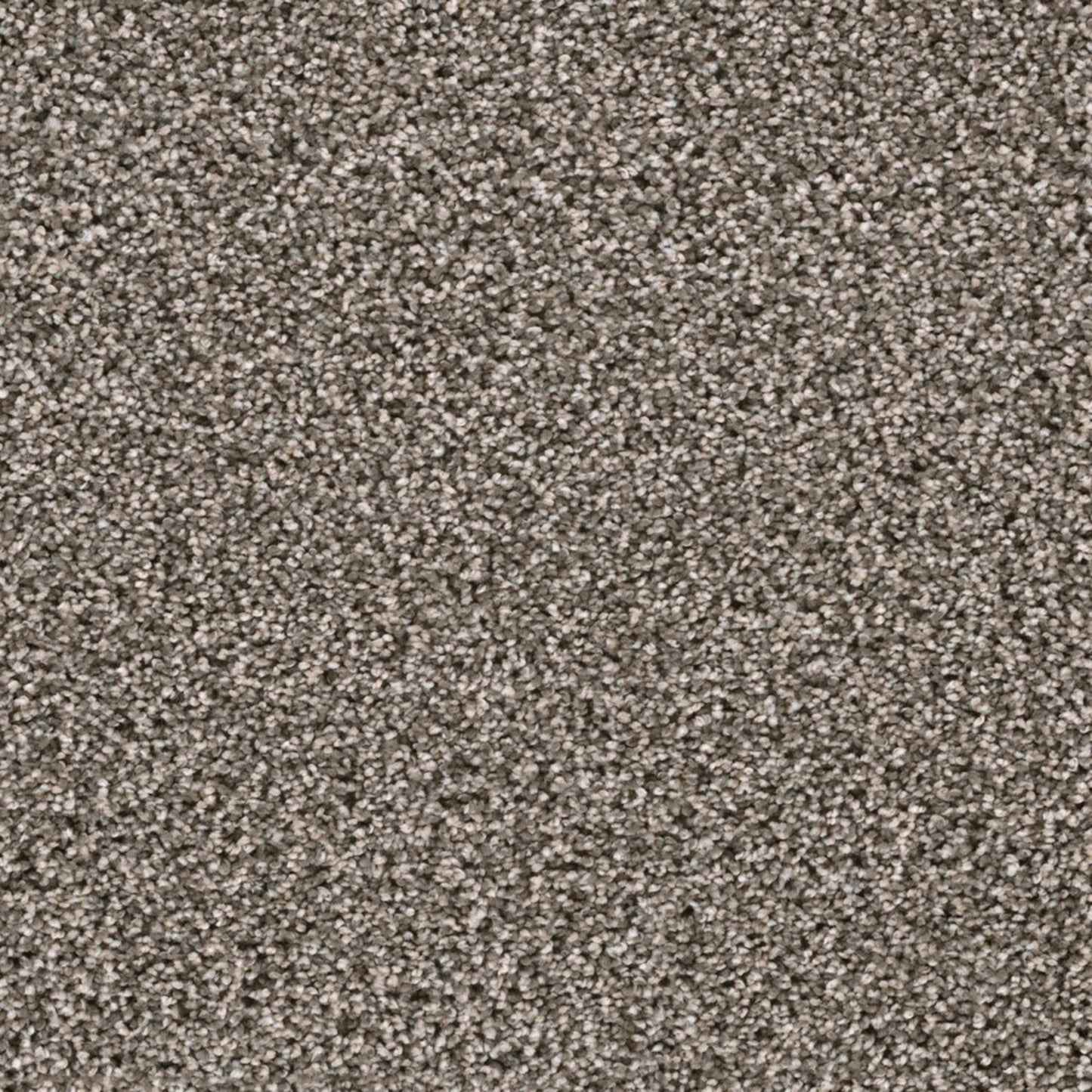 Lustrio I