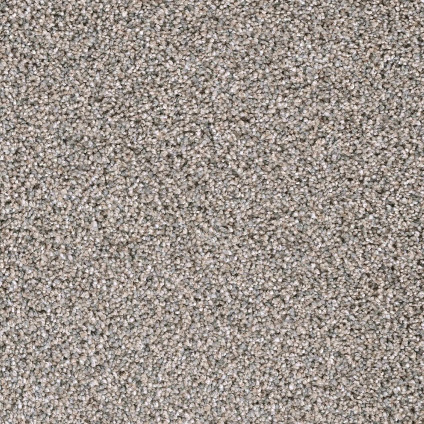 Lustrio I