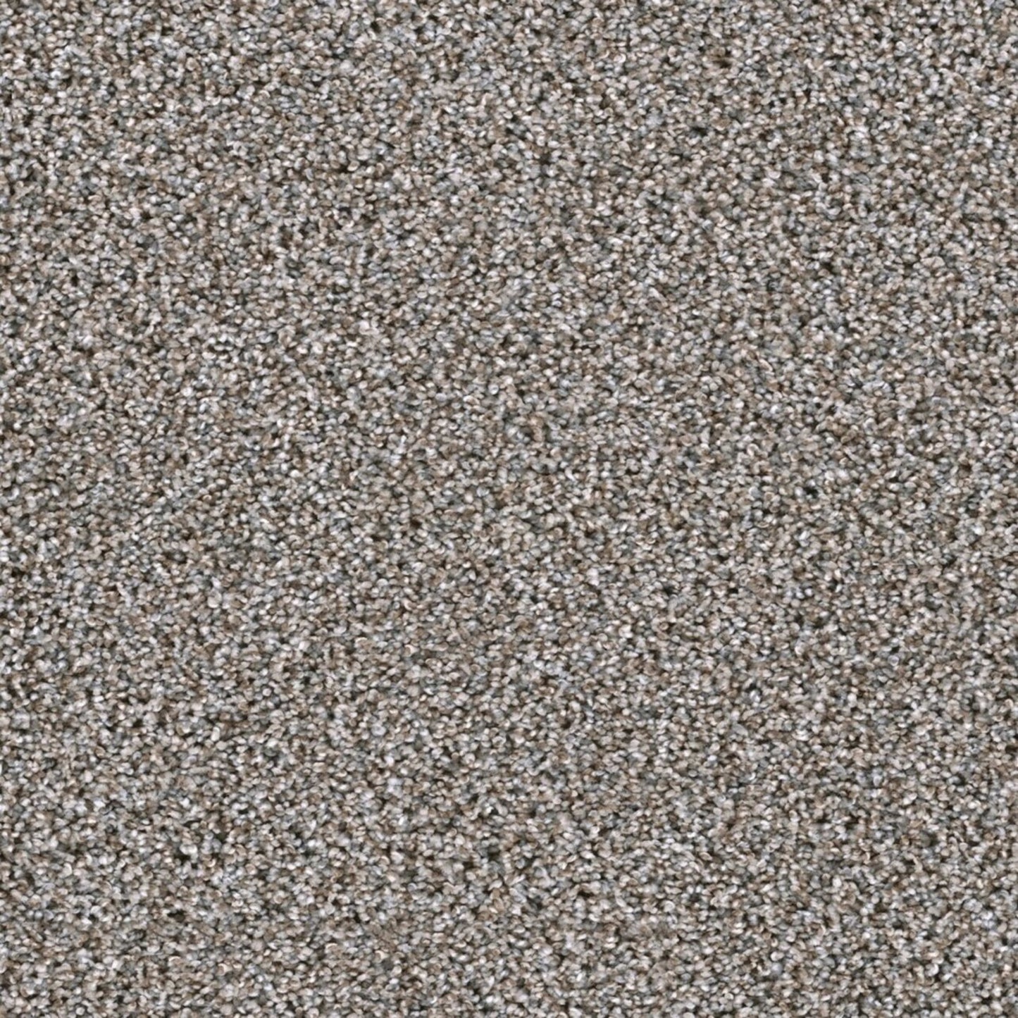 Lustrio I