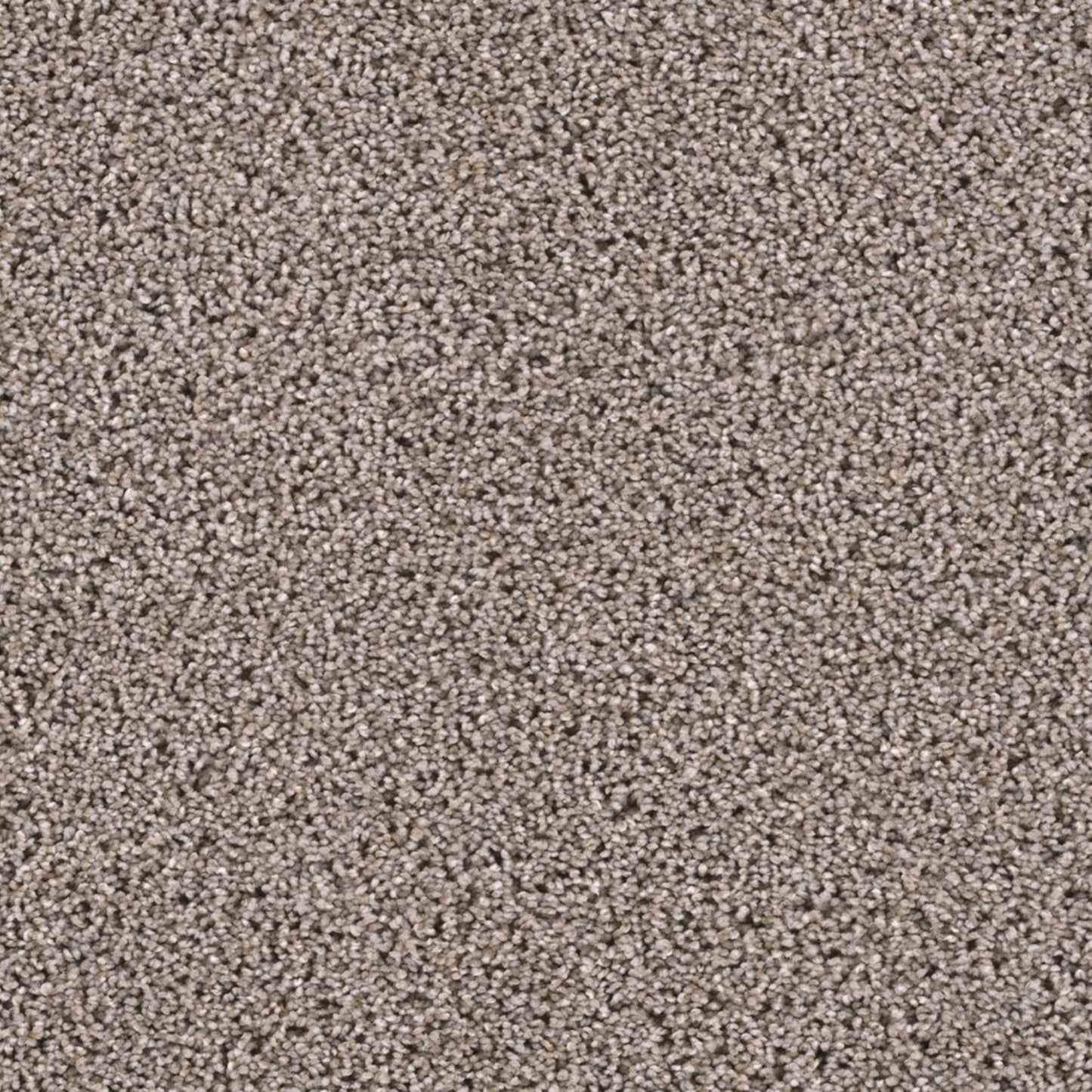Lustrio I in Meadow Trail Carpet