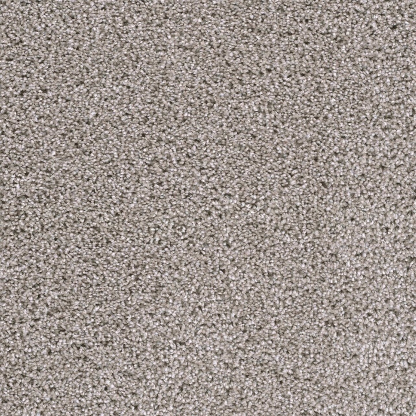 Lustrio I