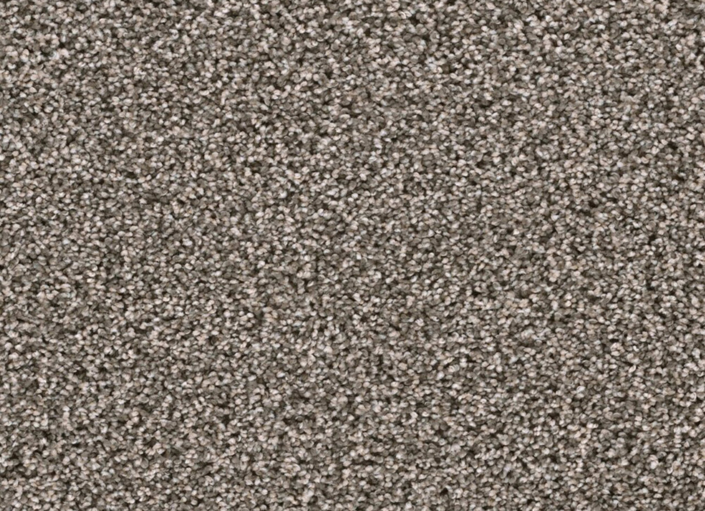 Lustrio II