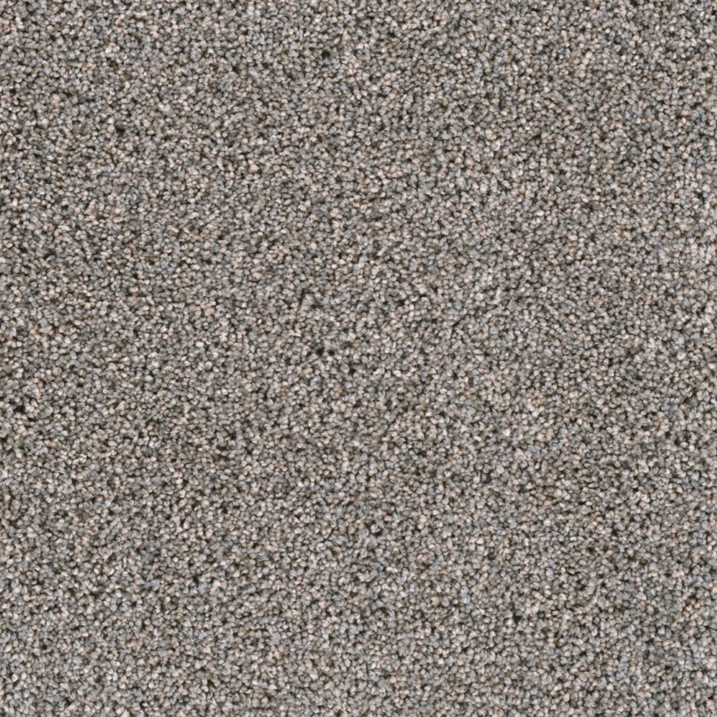 Lustrio II