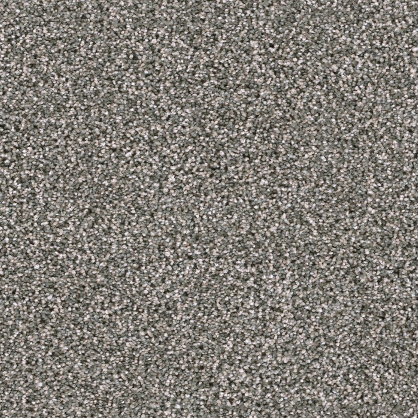 Lustrio II in Willow Tree Carpet