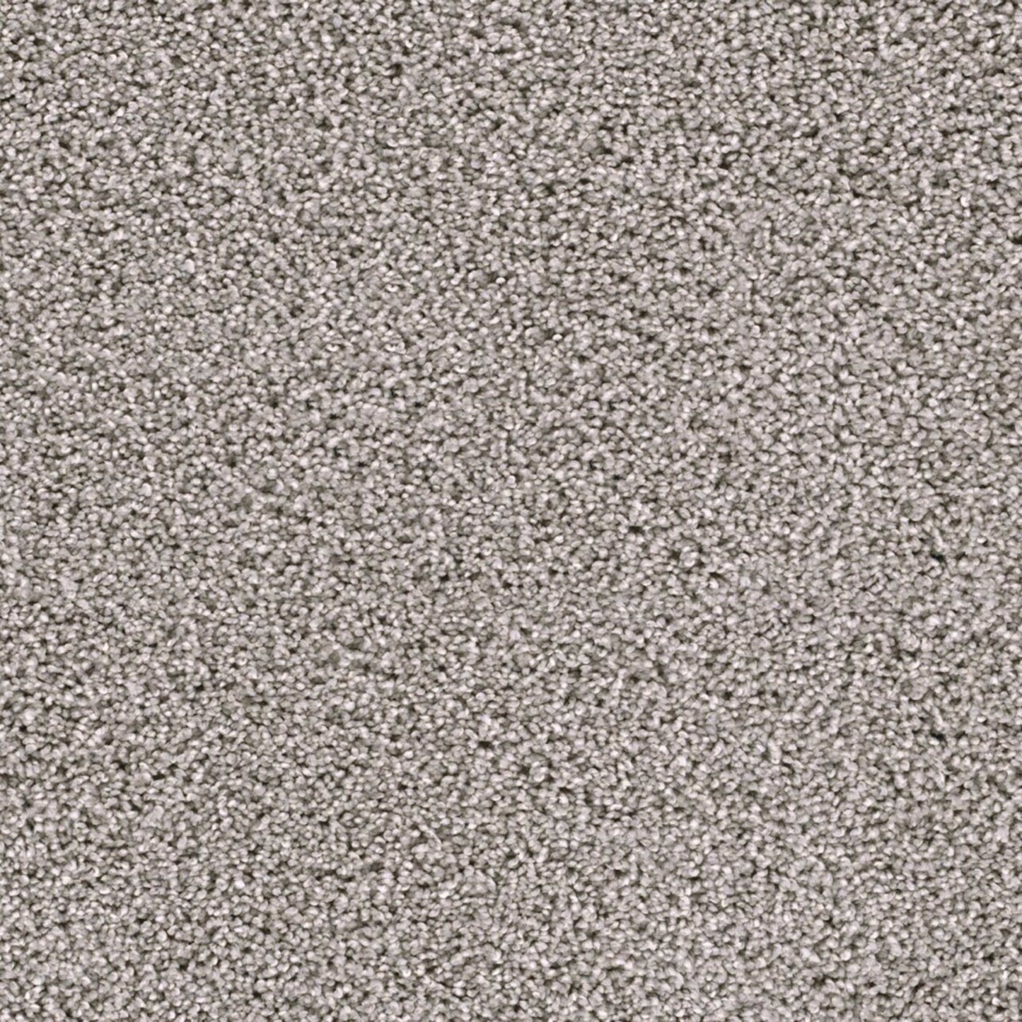 Lustrio II