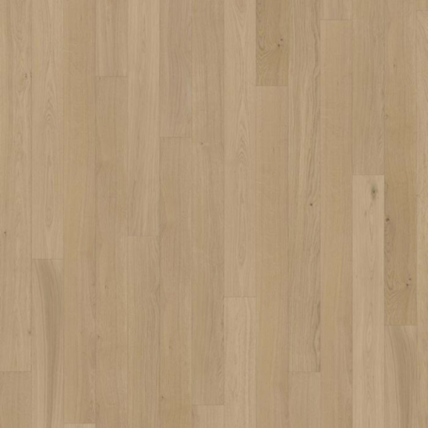 Canvas Collection in Oak Fawn