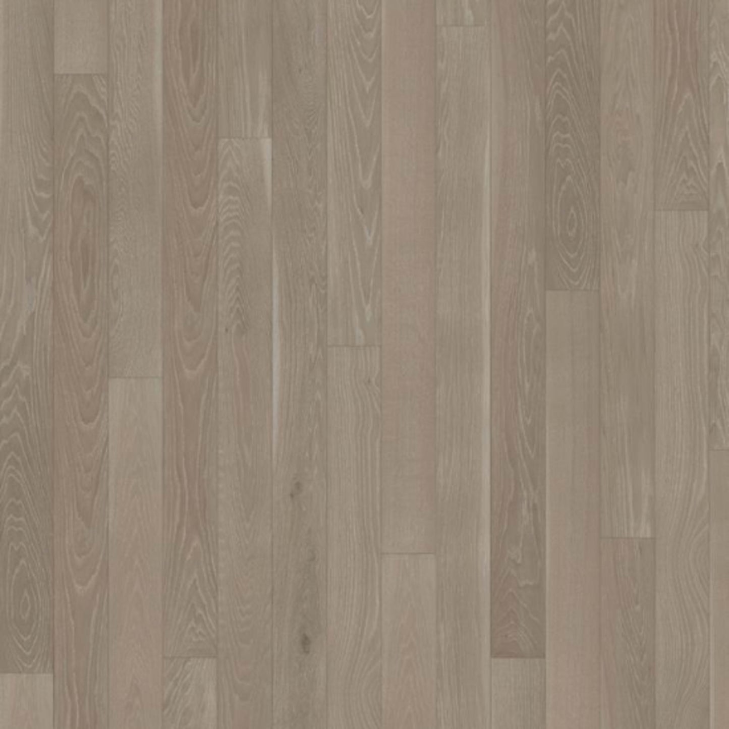 Canvas Collection in Oak Heather
