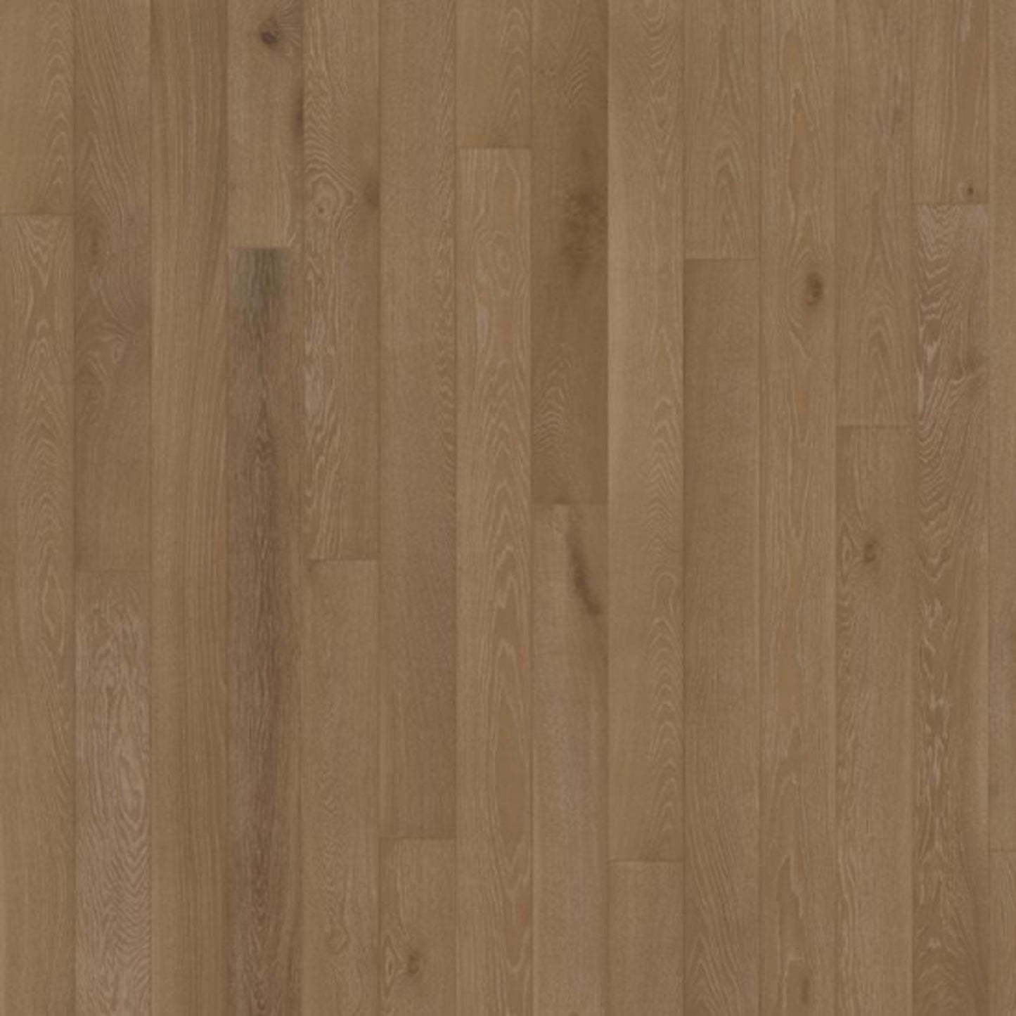 Canvas Collection in Oak Henna