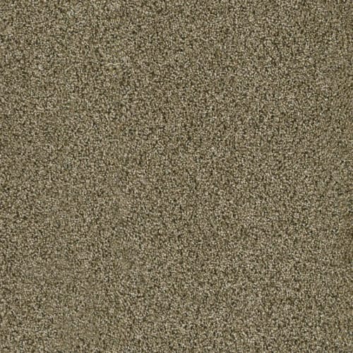 Acclaim in Island Spice