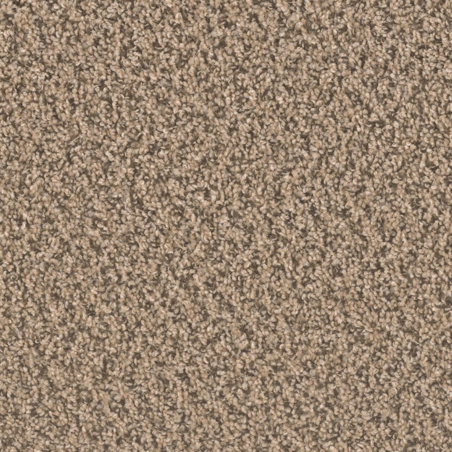 Ascend in Gingerbread Carpet
