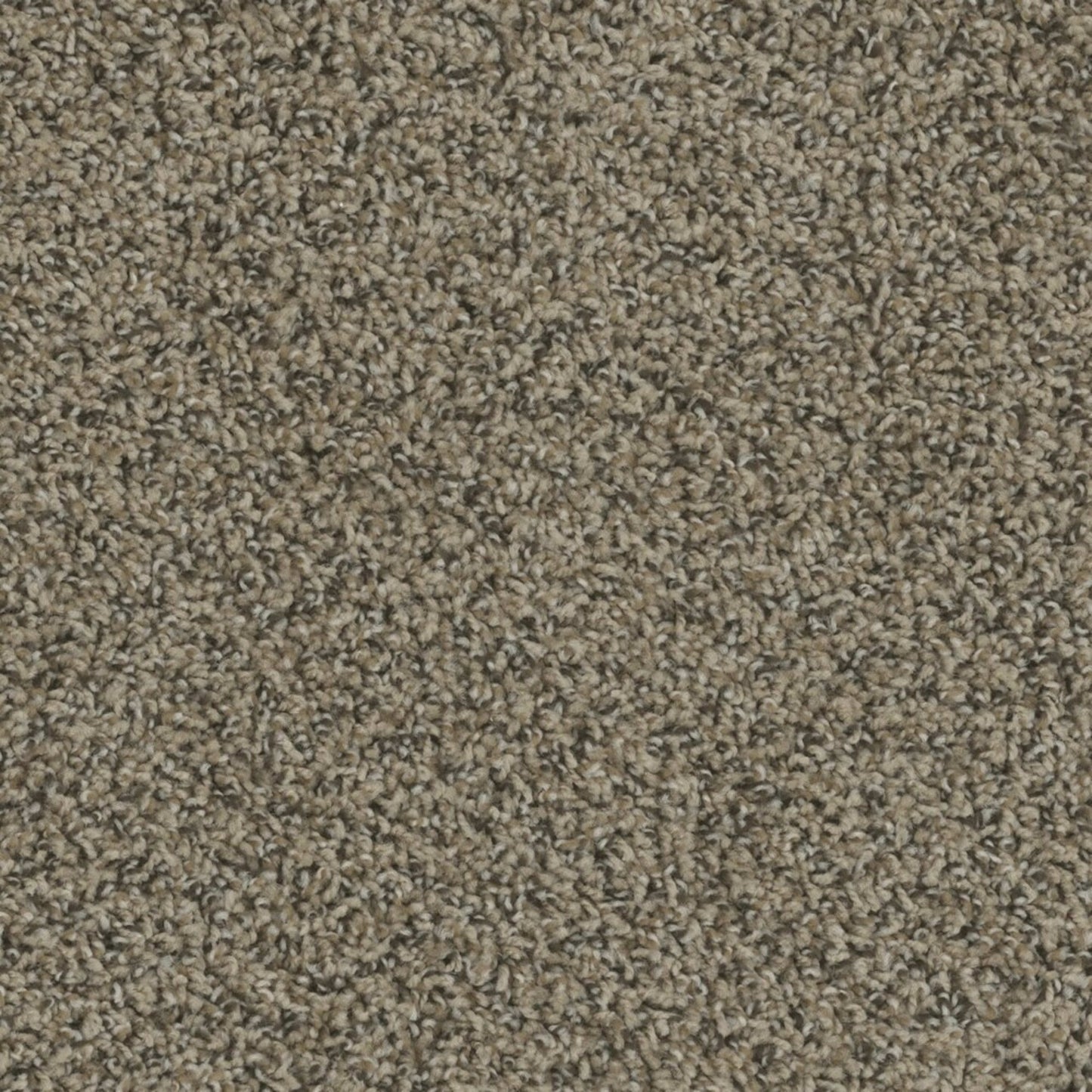 Columbia in Fawn Carpet