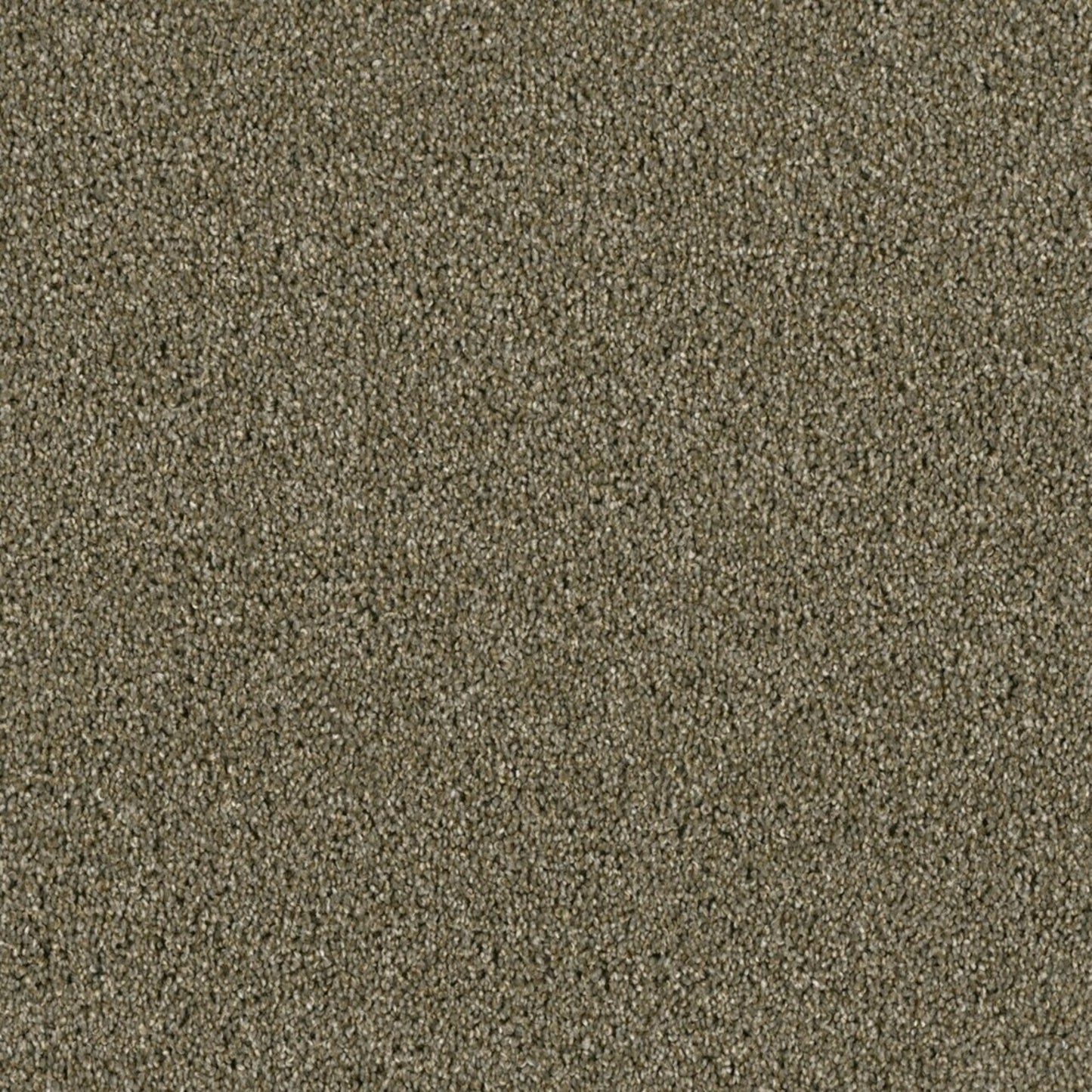 Accolade in Cinnamon Tea Carpet