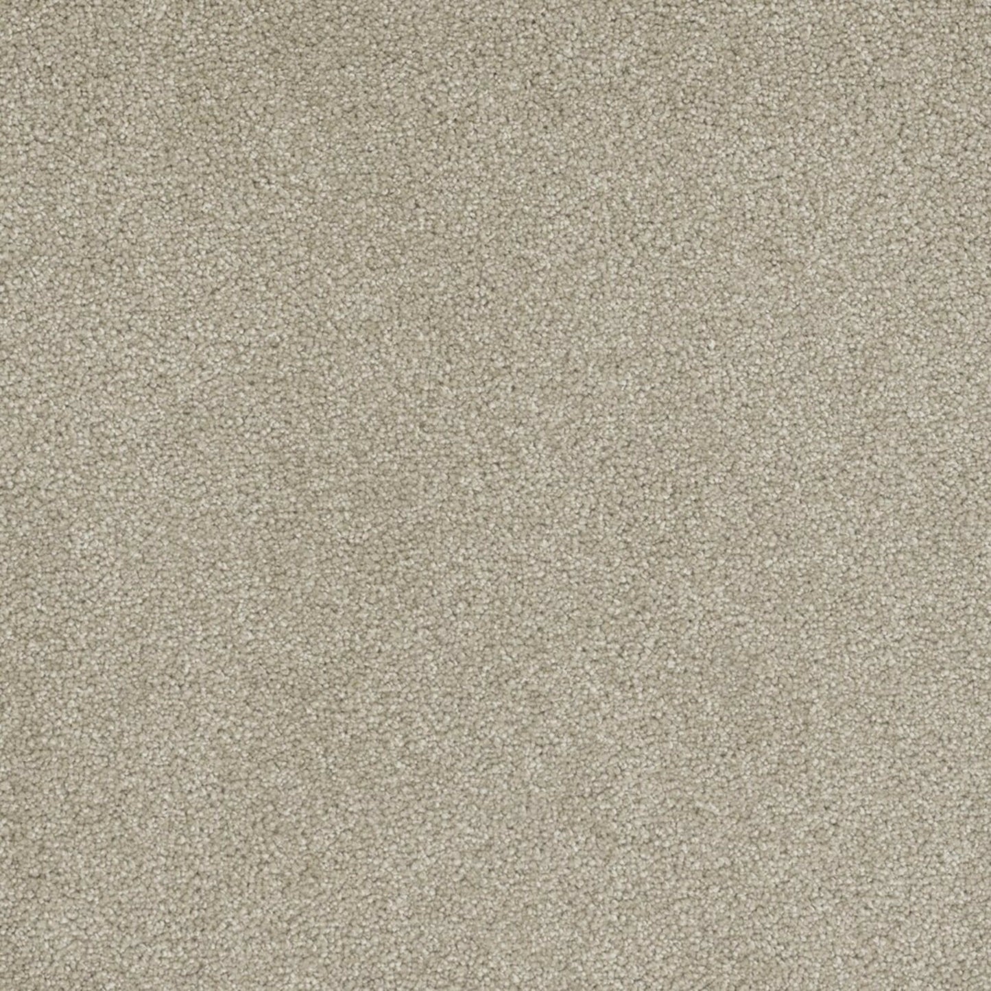 Coronado I