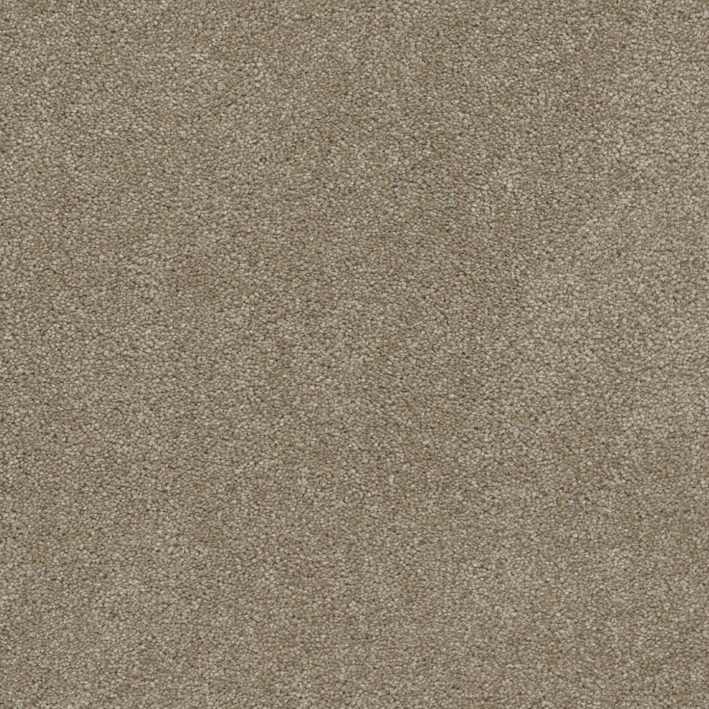 Coronado I