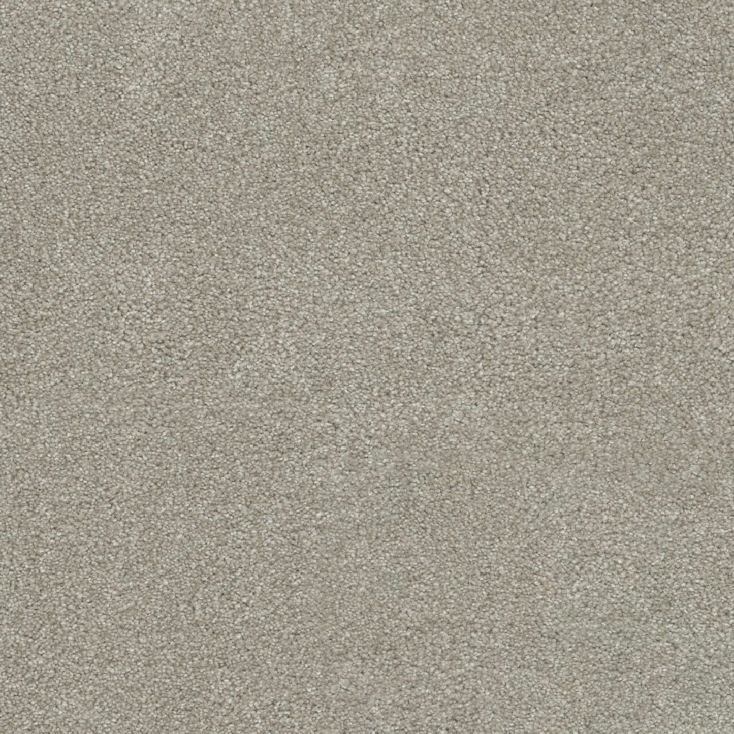 Coronado I