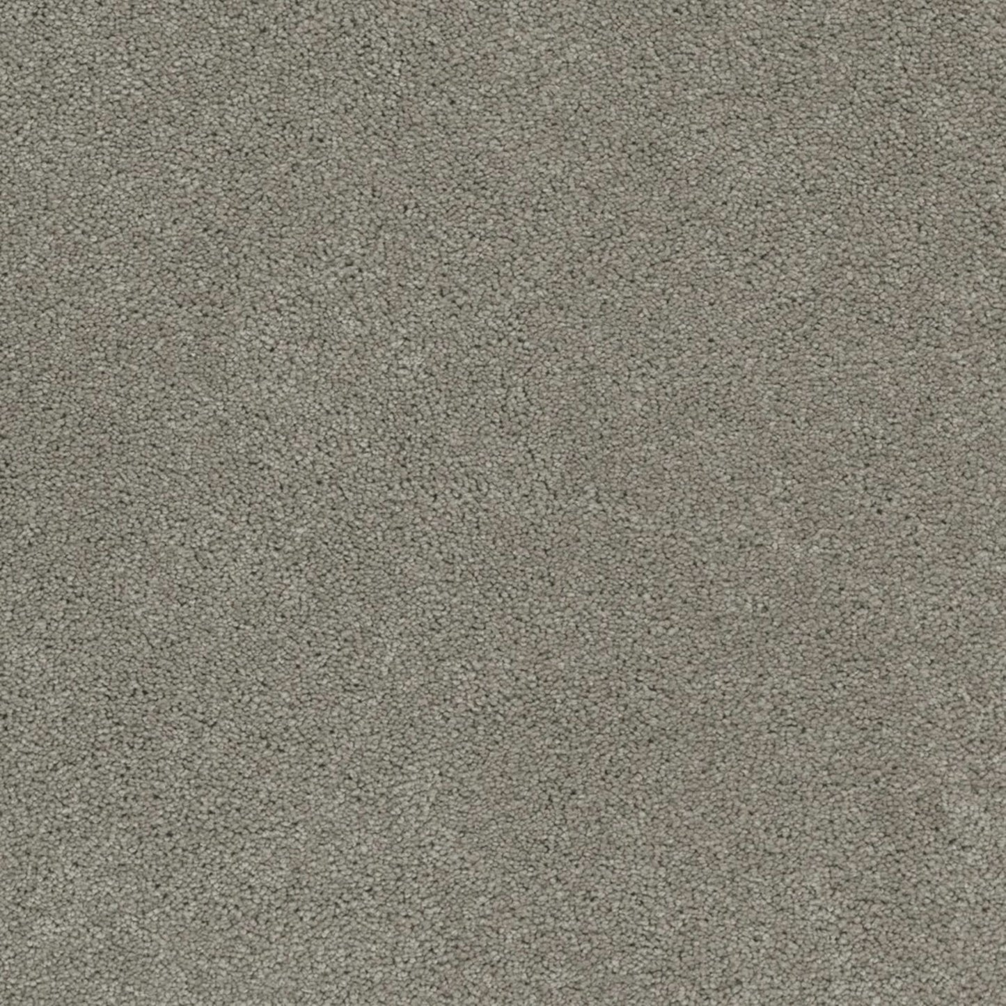 Coronado I