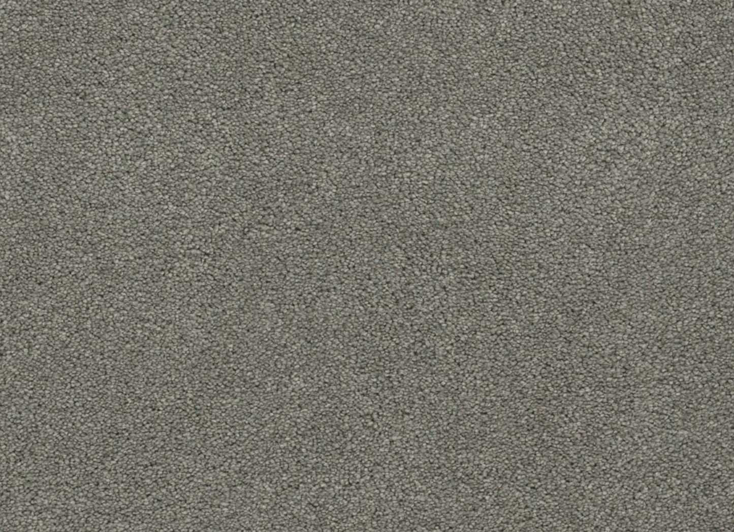 Coronado I